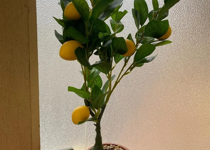 Logis Dore Apartamento *